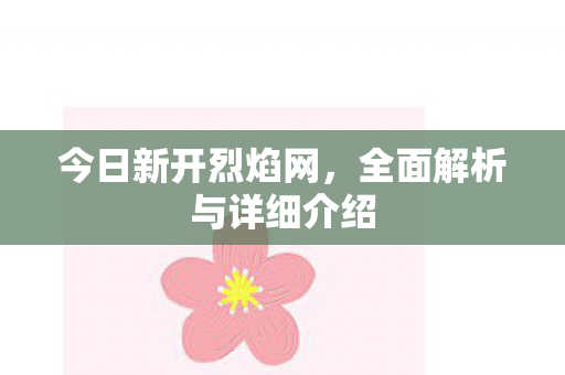 今日新开烈焰网，全面解析与详细介绍