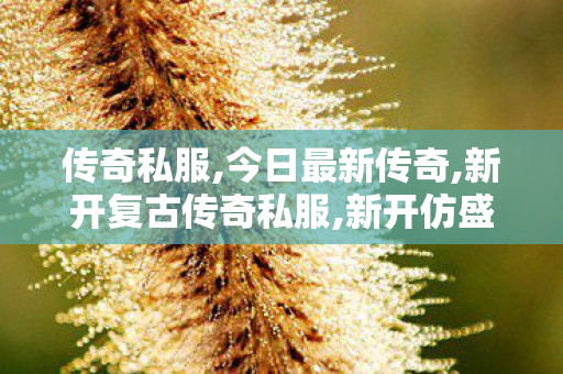 传奇私服,今日最新传奇,新开复古传奇私服,新开仿盛大传世私服,新开复古传奇私服