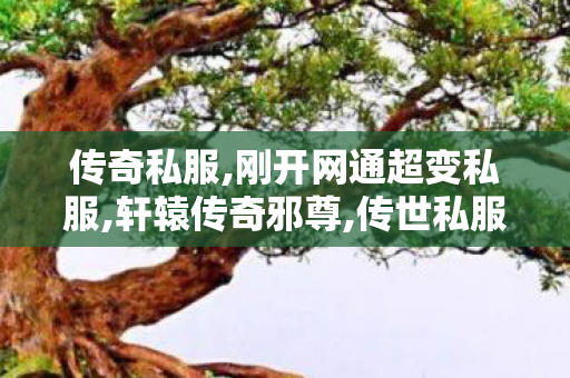 传奇私服,刚开网通超变私服,轩辕传奇邪尊,传世私服漏洞,轩辕传奇邪尊