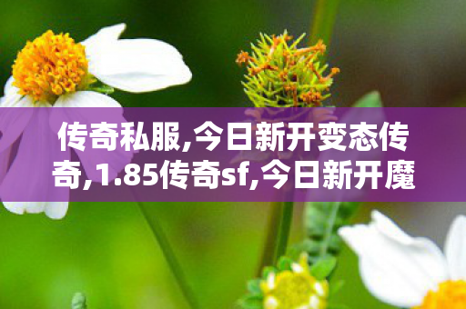 传奇私服,今日新开变态传奇,1.85传奇sf,今日新开魔域私服,1.85传奇sf