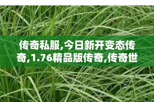 传奇私服,今日新开变态传奇,1.76精品版传奇,传奇世界私服,传世私服网,1.76精品版传奇