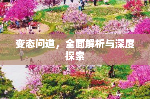 变态问道，全面解析与深度探索