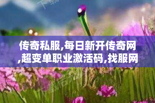 传奇私服,每日新开传奇网,超变单职业激活码,找服网sf,超变单职业激活码