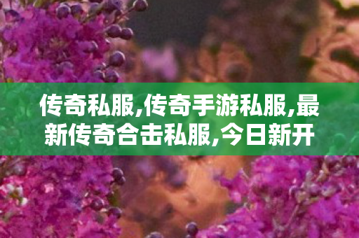 传奇私服,传奇手游私服,最新传奇合击私服,今日新开传奇世界,最新传奇合击私服