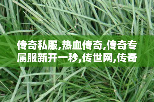 传奇私服,热血传奇,传奇专属服新开一秒,传世网,传奇专属服新开一秒