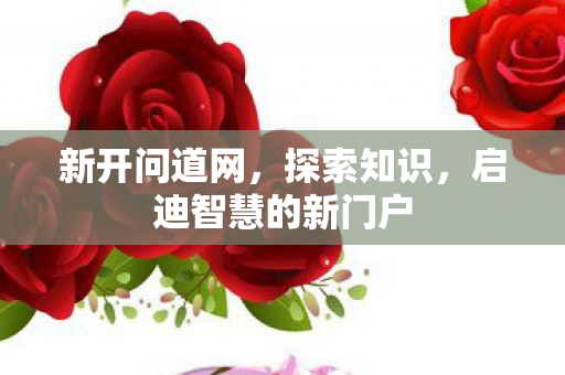 新开问道网，探索知识，启迪智慧的新门户