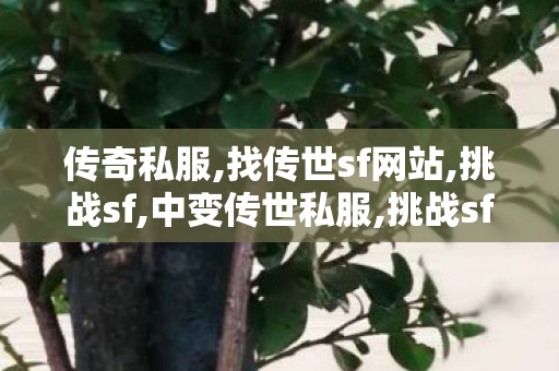 传奇私服,找传世sf网站,挑战sf,中变传世私服,挑战sf