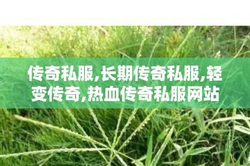 传奇私服,长期传奇私服,轻变传奇,热血传奇私服网站,轻变传奇