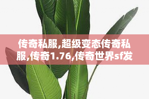 传奇私服,超级变态传奇私服,传奇1.76,传奇世界sf发布网,传奇1.76