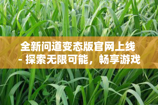 全新问道变态版官网上线 - 探索无限可能，畅享游戏新体验