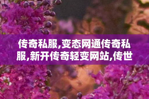 传奇私服,变态网通传奇私服,新开传奇轻变网站,传世sf发布网站,新开传奇轻变网站