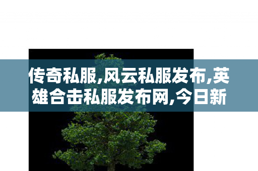 传奇私服,风云私服发布,英雄合击私服发布网,今日新开热血,英雄合击私服发布网