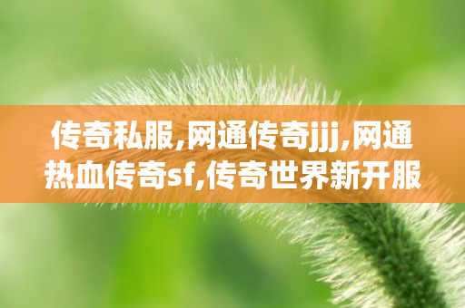 传奇私服,网通传奇jjj,网通热血传奇sf,传奇世界新开服的网站,网通热血传奇sf