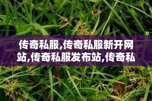 传奇私服,传奇私服新开网站,传奇私服发布站,传奇私发布网,传奇私服发布站