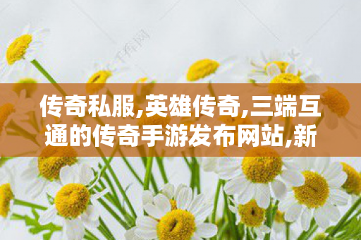 传奇私服,英雄传奇,三端互通的传奇手游发布网站,新开传奇世界私服中变,三端互通的传奇手游发布网站