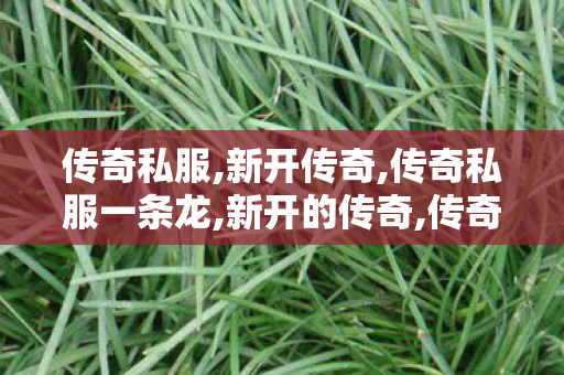 传奇私服,新开传奇,传奇私服一条龙,新开的传奇,传奇私服一条龙