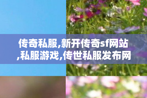传奇私服,新开传奇sf网站,私服游戏,传世私服发布网刚开一秒,私服游戏