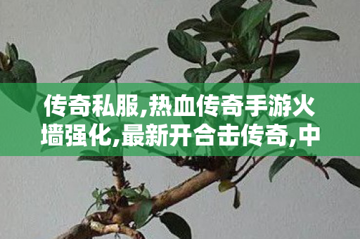 传奇私服,热血传奇手游火墙强化,最新开合击传奇,中变传世sf,最新开合击传奇