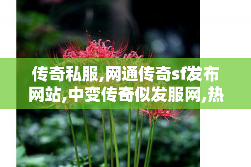 传奇私服,网通传奇sf发布网站,中变传奇似发服网,热血传奇2私服发布网,中变传奇似发服网