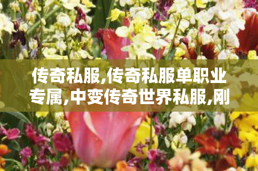 传奇私服,传奇私服单职业专属,中变传奇世界私服,刚开一秒传世,中变传奇世界私服