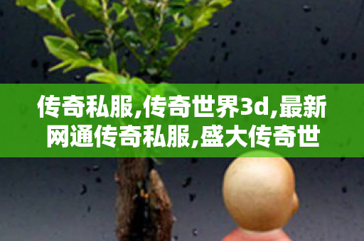 传奇私服,传奇世界3d,最新网通传奇私服,盛大传奇世界私服发布网,最新网通传奇私服