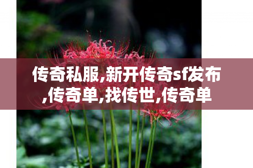 传奇私服,新开传奇sf发布,传奇单,找传世,传奇单