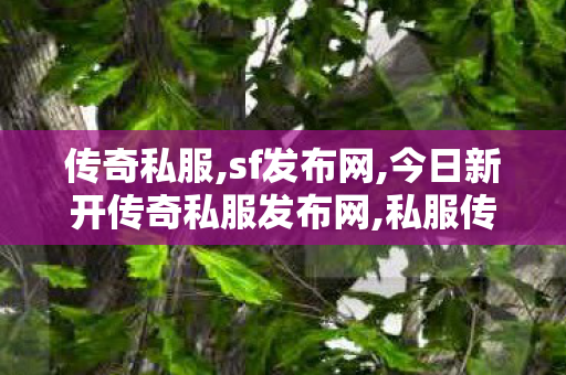 传奇私服,sf发布网,今日新开传奇私服发布网,私服传奇新开网站,今日新开传奇私服发布网