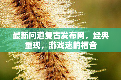 最新问道复古发布网，经典重现，游戏迷的福音