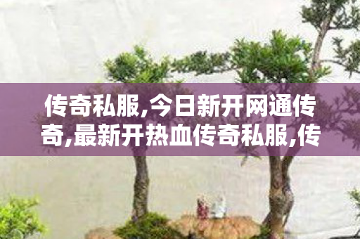 传奇私服,今日新开网通传奇,最新开热血传奇私服,传世私服发布网新服,最新开热血传奇私服