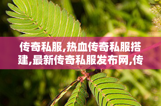 传奇私服,热血传奇私服搭建,最新传奇私服发布网,传奇世界私服发布网大全,最新传奇私服发布网