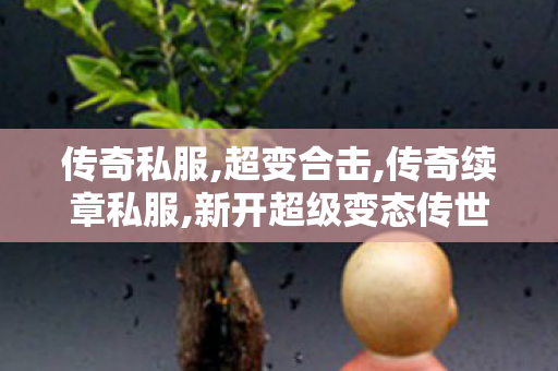 传奇私服,超变合击,传奇续章私服,新开超级变态传世sf,传奇续章私服