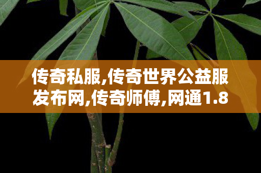传奇私服,传奇世界公益服发布网,传奇师傅,网通1.80复古,传奇师傅