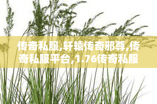传奇私服,轩辕传奇邪尊,传奇私服平台,1.76传奇私服发布网站,传奇私服平台