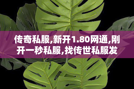 传奇私服,新开1.80网通,刚开一秒私服,找传世私服发布网站,刚开一秒私服