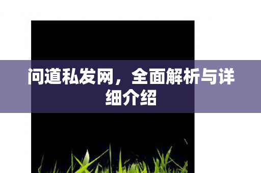问道私发网，全面解析与详细介绍