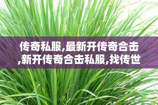 传奇私服,最新开传奇合击,新开传奇合击私服,找传世sf网,新开传奇合击私服