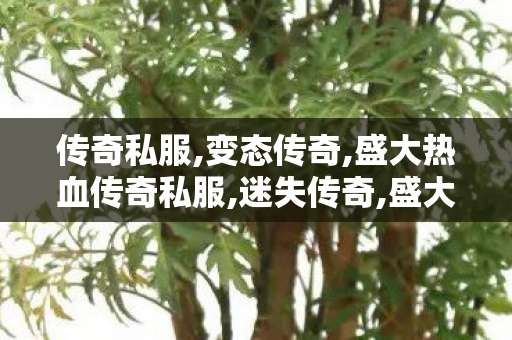 传奇私服,变态传奇,盛大热血传奇私服,迷失传奇,盛大热血传奇私服