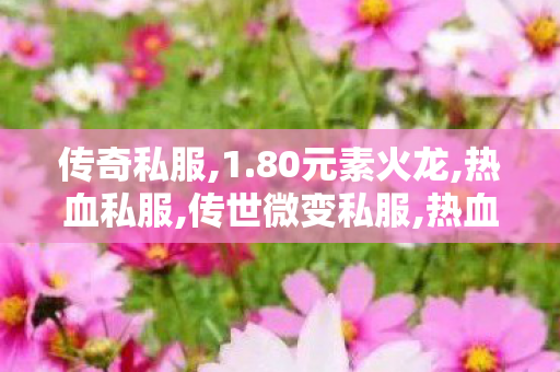 传奇私服,1.80元素火龙,热血私服,传世微变私服,热血私服