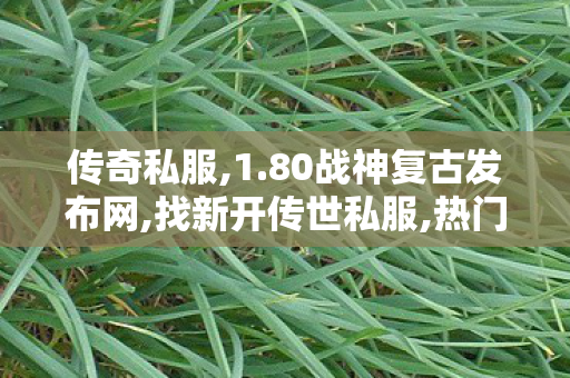 传奇私服,1.80战神复古发布网,找新开传世私服,热门私服,找新开传世私服