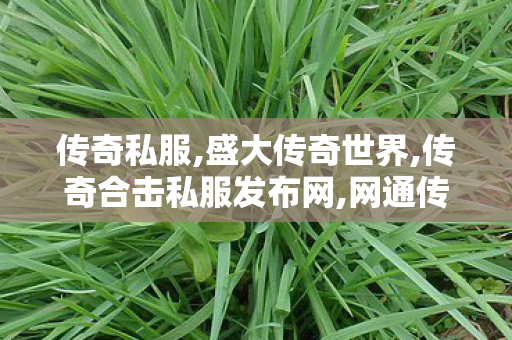 传奇私服,盛大传奇世界,传奇合击私服发布网,网通传奇发布网,传奇合击私服发布网