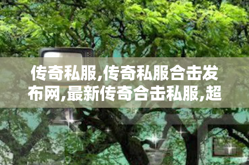 传奇私服,传奇私服合击发布网,最新传奇合击私服,超级变态热血传奇私服,最新传奇合击私服