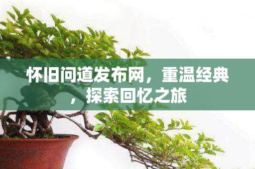 怀旧问道发布网，重温经典，探索回忆之旅