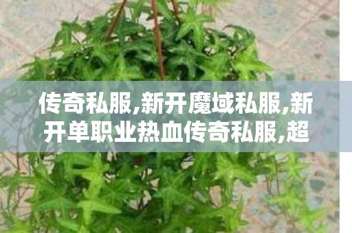 传奇私服,新开魔域私服,新开单职业热血传奇私服,超变态传奇,新开单职业热血传奇私服