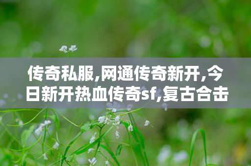 传奇私服,网通传奇新开,今日新开热血传奇sf,复古合击传奇私服,今日新开热血传奇sf