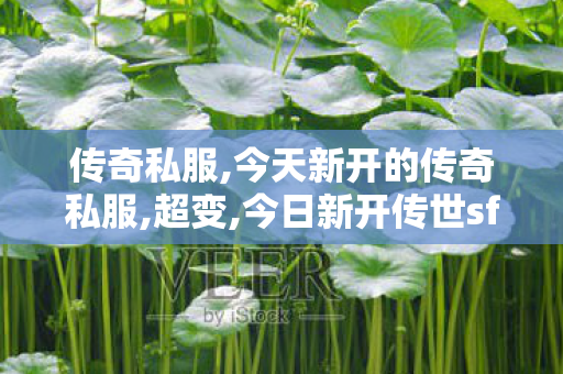 传奇私服,今天新开的传奇私服,超变,今日新开传世sf网,超变