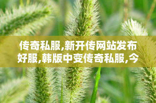 传奇私服,新开传网站发布好服,韩版中变传奇私服,今日新开传世发布网,韩版中变传奇私服
