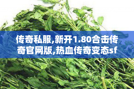 传奇私服,新开1.80合击传奇官网版,热血传奇变态sf,传奇世界复古版本,热血传奇变态sf