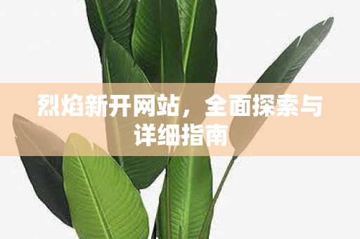 烈焰新开网站，全面探索与详细指南