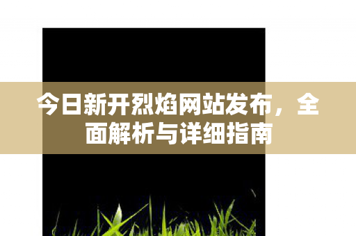 今日新开烈焰网站发布，全面解析与详细指南