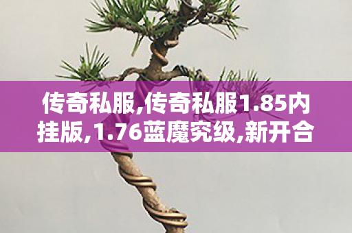 传奇私服,传奇私服1.85内挂版,1.76蓝魔究级,新开合击传奇私服网,1.76蓝魔究级